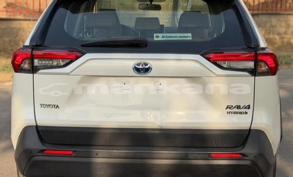Buy Used Toyota RAV4 White Car in Tbilisi in Tbilisi Buy Used Toyota RAV4 White Car in Tbilisi in Tbilisi