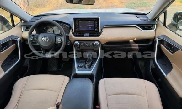 Buy Used Toyota RAV4 White Car in Tbilisi in Tbilisi Buy Used Toyota RAV4 White Car in Tbilisi in Tbilisi