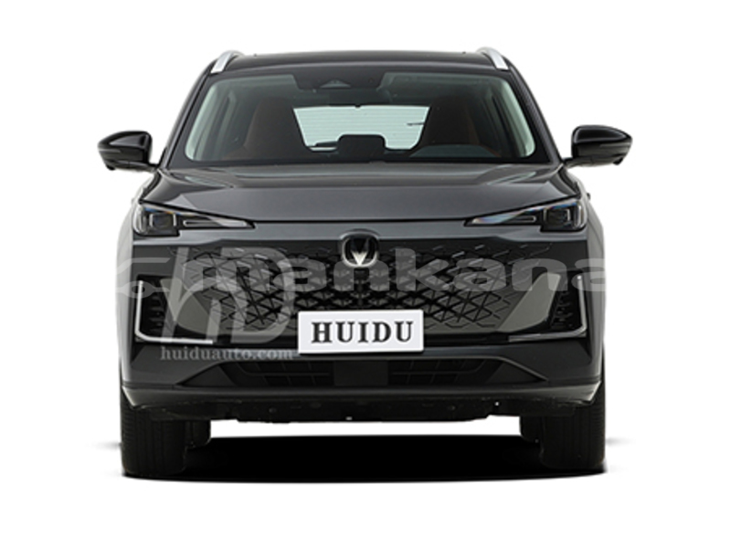 Big with watermark changan cs55 tbilisi tbilisi 8295
