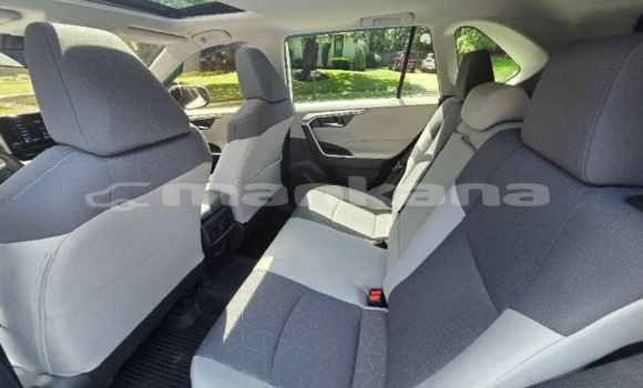 Buy Used Toyota RAV4 White Car in Ahali Atoni in Abhasia Buy Used Toyota RAV4 White Car in Ahali Atoni in Abhasia