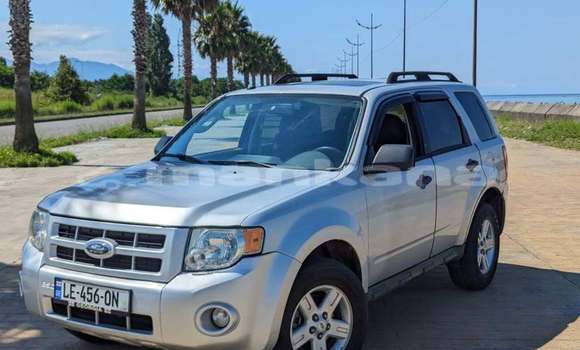 Buy Used Ford Escape White Car in Tbilisi in Tbilisi Buy Used Ford Escape White Car in Tbilisi in Tbilisi