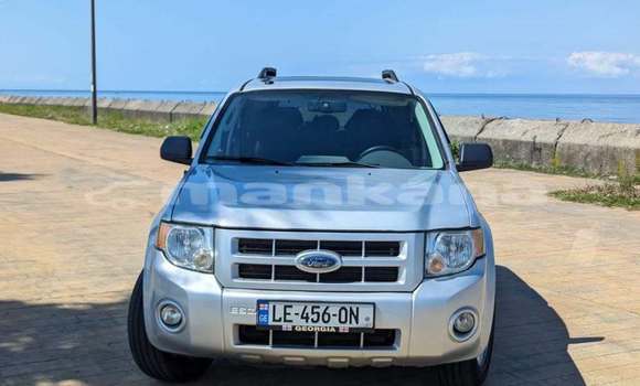 Buy Used Ford Escape White Car in Tbilisi in Tbilisi Buy Used Ford Escape White Car in Tbilisi in Tbilisi