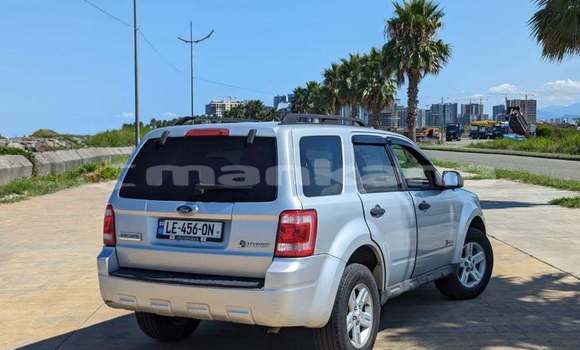 Buy Used Ford Escape White Car in Tbilisi in Tbilisi Buy Used Ford Escape White Car in Tbilisi in Tbilisi