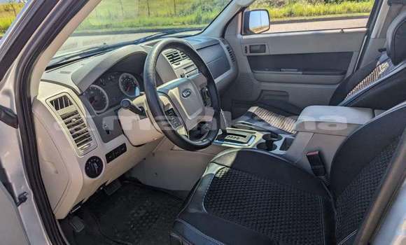 Buy Used Ford Escape White Car in Tbilisi in Tbilisi Buy Used Ford Escape White Car in Tbilisi in Tbilisi