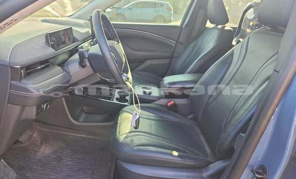 Buy Used Ford Mustang Other Car in Tbilisi in Tbilisi Buy Used Ford Mustang Other Car in Tbilisi in Tbilisi