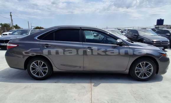 Buy Used Toyota Camry Other Car in Tbilisi in Tbilisi Buy Used Toyota Camry Other Car in Tbilisi in Tbilisi