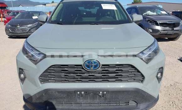 Buy Used Toyota RAV4 Other Car in Tbilisi in Tbilisi