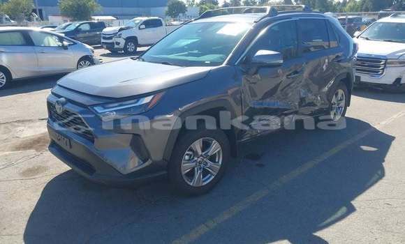 Buy Used Toyota RAV4 Black Car in Tbilisi in Tbilisi