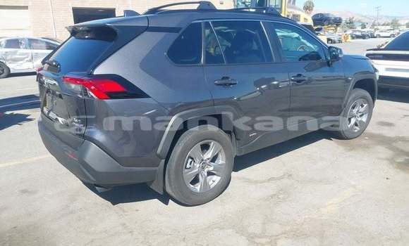 Buy Used Toyota RAV4 Black Car in Tbilisi in Tbilisi Buy Used Toyota RAV4 Black Car in Tbilisi in Tbilisi