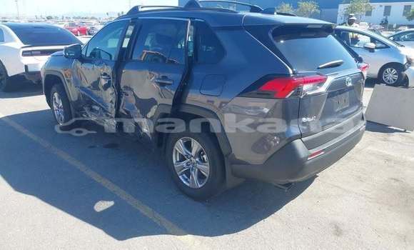 Buy Used Toyota RAV4 Black Car in Tbilisi in Tbilisi Buy Used Toyota RAV4 Black Car in Tbilisi in Tbilisi