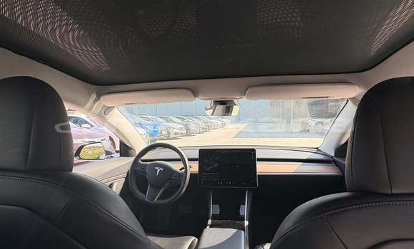 Buy Used Tesla Model 3 Black Car in Tbilisi in Tbilisi Buy Used Tesla Model 3 Black Car in Tbilisi in Tbilisi