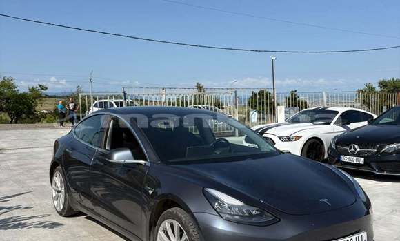 Buy Used Tesla Model 3 Black Car in Tbilisi in Tbilisi Buy Used Tesla Model 3 Black Car in Tbilisi in Tbilisi