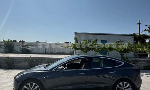 Buy Used Tesla Model 3 Black Car in Tbilisi in Tbilisi Buy Used Tesla Model 3 Black Car in Tbilisi in Tbilisi