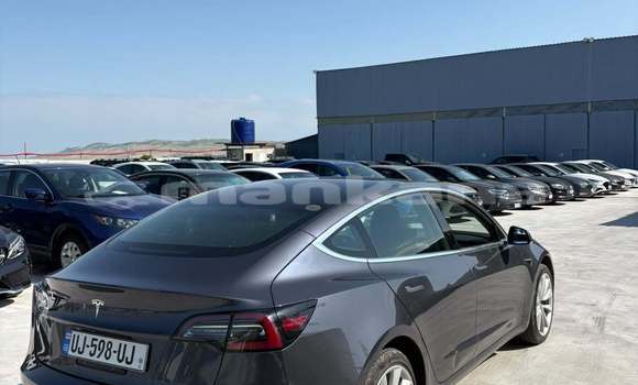 Buy Used Tesla Model 3 Black Car in Tbilisi in Tbilisi Buy Used Tesla Model 3 Black Car in Tbilisi in Tbilisi