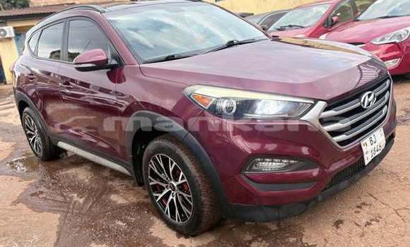Buy Used Toyota RAV4 Other Car in Batumi in Ajaria