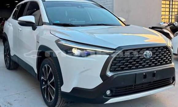 Buy Used Toyota Corolla Cross White Car in Tbilisi in Tbilisi Buy Used Toyota Corolla Cross White Car in Tbilisi in Tbilisi