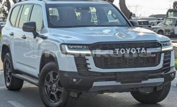 Buy Used Toyota Land Cruiser White Car in Tbilisi in Tbilisi