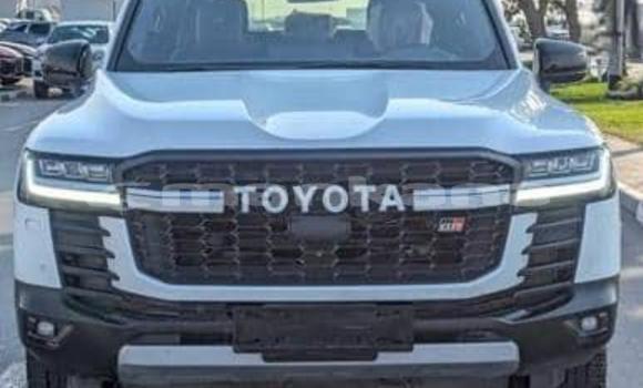 Buy Used Toyota Land Cruiser White Car in Tbilisi in Tbilisi Buy Used Toyota Land Cruiser White Car in Tbilisi in Tbilisi