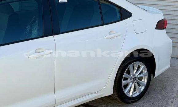 Buy Used Toyota Corolla White Car in Tbilisi in Tbilisi Buy Used Toyota Corolla White Car in Tbilisi in Tbilisi
