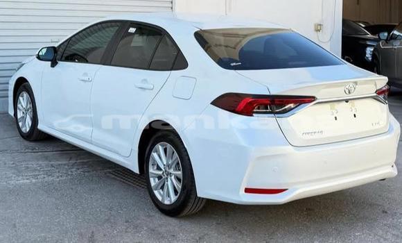 Buy Used Toyota Corolla White Car in Tbilisi in Tbilisi Buy Used Toyota Corolla White Car in Tbilisi in Tbilisi