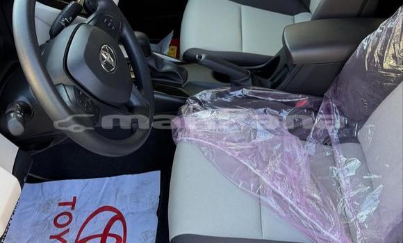 Buy Used Toyota Corolla White Car in Tbilisi in Tbilisi Buy Used Toyota Corolla White Car in Tbilisi in Tbilisi