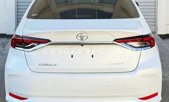 Buy Used Toyota Corolla White Car in Tbilisi in Tbilisi Buy Used Toyota Corolla White Car in Tbilisi in Tbilisi