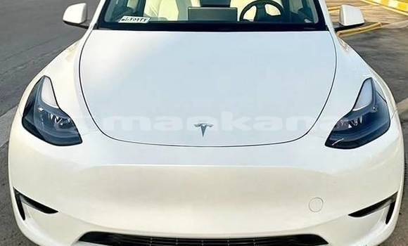 Buy Used Tesla Model X White Car in Tbilisi in Tbilisi