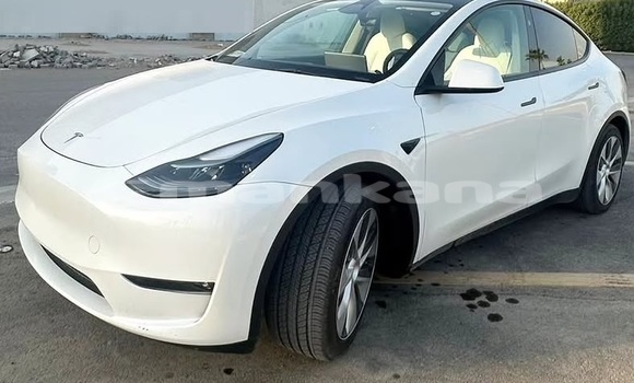 Buy Used Tesla Model X White Car in Tbilisi in Tbilisi Buy Used Tesla Model X White Car in Tbilisi in Tbilisi