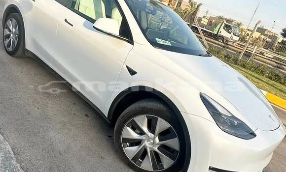 Buy Used Tesla Model X White Car in Tbilisi in Tbilisi Buy Used Tesla Model X White Car in Tbilisi in Tbilisi