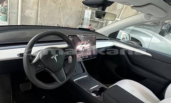 Buy Used Tesla Model X White Car in Tbilisi in Tbilisi Buy Used Tesla Model X White Car in Tbilisi in Tbilisi