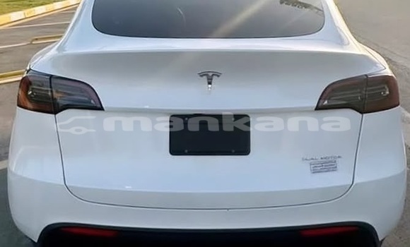 Buy Used Tesla Model X White Car in Tbilisi in Tbilisi Buy Used Tesla Model X White Car in Tbilisi in Tbilisi