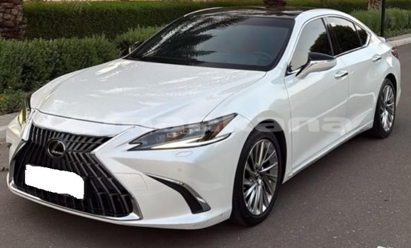 Buy Used Lexus ES White Car in Tbilisi in Tbilisi