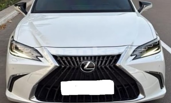 Buy Used Lexus ES White Car in Tbilisi in Tbilisi Buy Used Lexus ES White Car in Tbilisi in Tbilisi