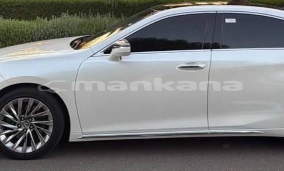Buy Used Lexus ES White Car in Tbilisi in Tbilisi Buy Used Lexus ES White Car in Tbilisi in Tbilisi