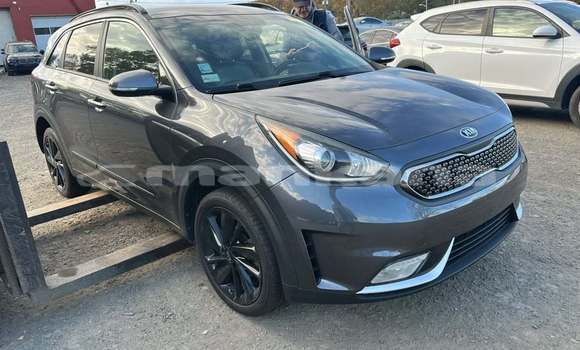 Buy Used Kia Niro Other Car in Tbilisi in Tbilisi Buy Used Kia Niro Other Car in Tbilisi in Tbilisi