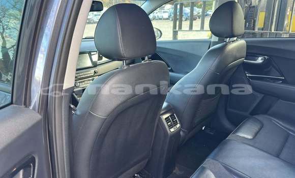 Buy Used Kia Niro Other Car in Tbilisi in Tbilisi Buy Used Kia Niro Other Car in Tbilisi in Tbilisi