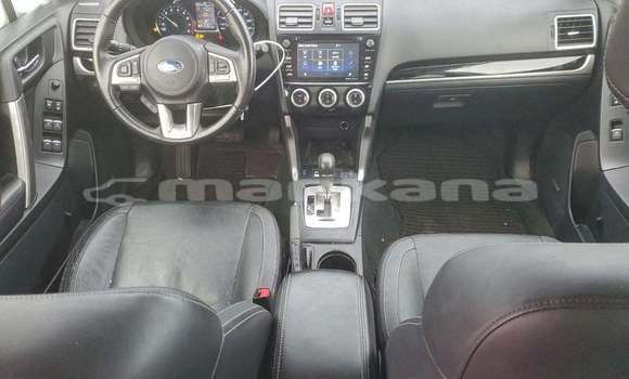 Buy Used Subaru Forester Other Car in Tbilisi in Tbilisi Buy Used Subaru Forester Other Car in Tbilisi in Tbilisi