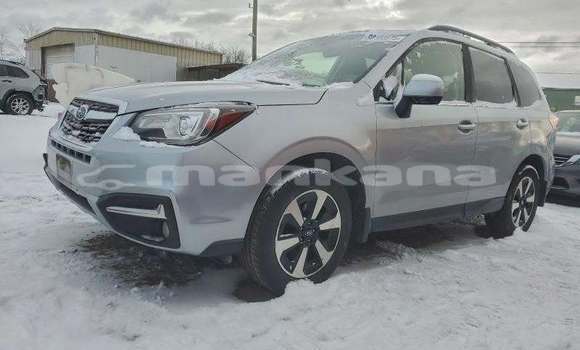 Buy Used Subaru Forester Other Car in Tbilisi in Tbilisi Buy Used Subaru Forester Other Car in Tbilisi in Tbilisi