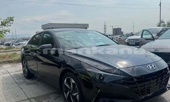 Buy Used Hyundai Elantra Black Car in Tbilisi in Tbilisi