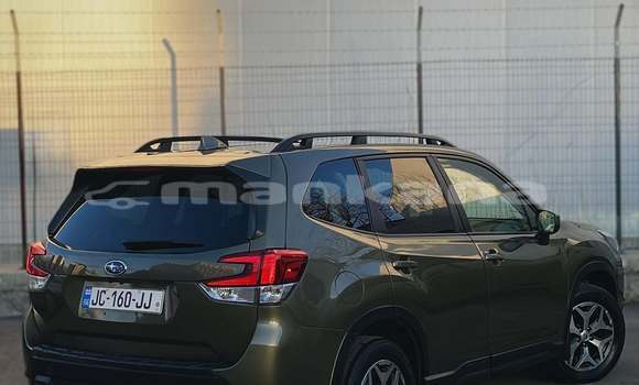 Buy Used Subaru Forester Green Car in Tbilisi in Tbilisi Buy Used Subaru Forester Green Car in Tbilisi in Tbilisi