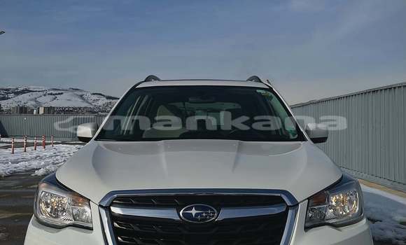 Buy Used Subaru Forester White Car in Tbilisi in Tbilisi Buy Used Subaru Forester White Car in Tbilisi in Tbilisi