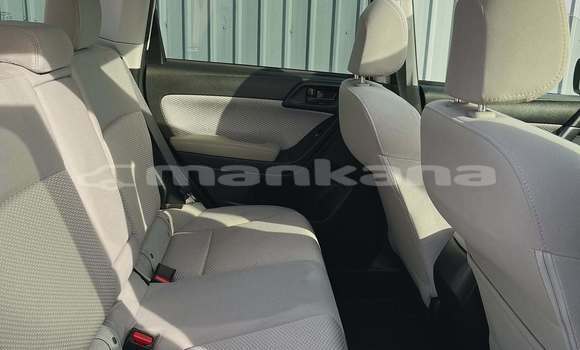 Buy Used Subaru Forester White Car in Tbilisi in Tbilisi Buy Used Subaru Forester White Car in Tbilisi in Tbilisi