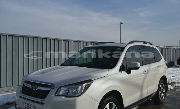 Buy Used Subaru Forester White Car in Tbilisi in Tbilisi Buy Used Subaru Forester White Car in Tbilisi in Tbilisi