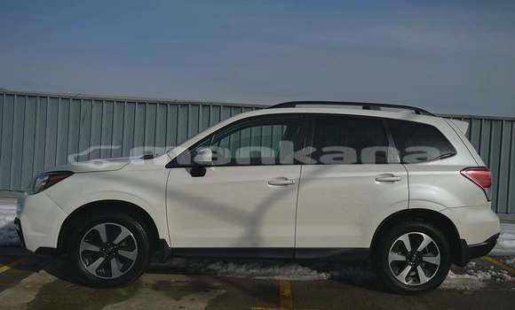 Buy Used Subaru Forester White Car in Tbilisi in Tbilisi Buy Used Subaru Forester White Car in Tbilisi in Tbilisi