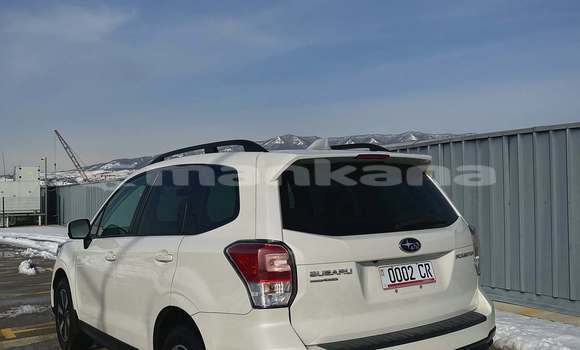 Buy Used Subaru Forester White Car in Tbilisi in Tbilisi Buy Used Subaru Forester White Car in Tbilisi in Tbilisi