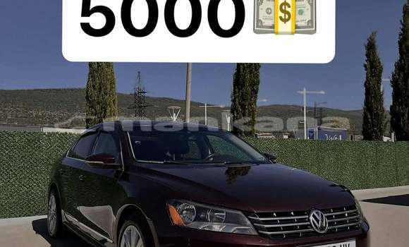 Buy Used Volkswagen Passat Red Car in Tbilisi in Tbilisi