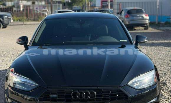 Buy Used Audi A5 Black Car in Tbilisi in Tbilisi