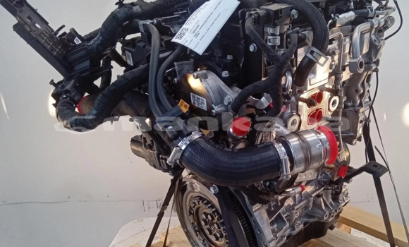 Buy KIA SPORTAGE 1.6 ENGINE in Tbilisi in Tbilisi Buy KIA SPORTAGE 1.6 ENGINE in Tbilisi in Tbilisi