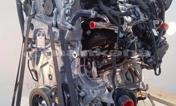 Buy KIA SPORTAGE 1.6 ENGINE in Tbilisi in Tbilisi Buy KIA SPORTAGE 1.6 ENGINE in Tbilisi in Tbilisi