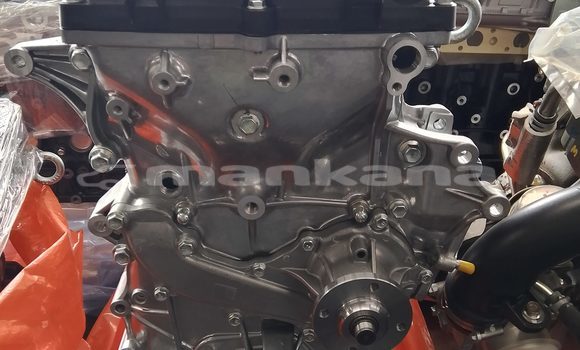 Buy VW Polo 1.6 Head Block in Tbilisi in Tbilisi Buy VW Polo 1.6 Head Block in Tbilisi in Tbilisi